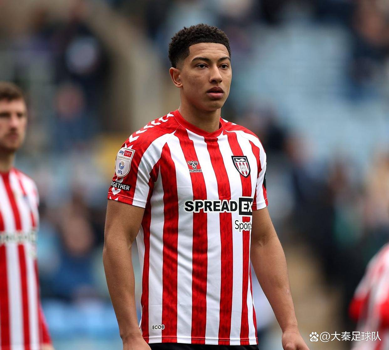 布莱顿主场大胜，保级前景一片光明