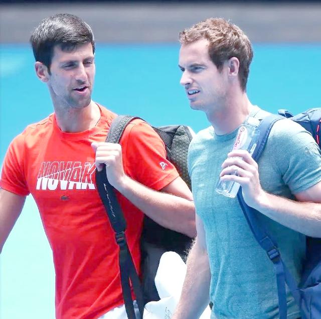 戴维斯杯力克温网，德约科维奇扛起全队的简单介绍