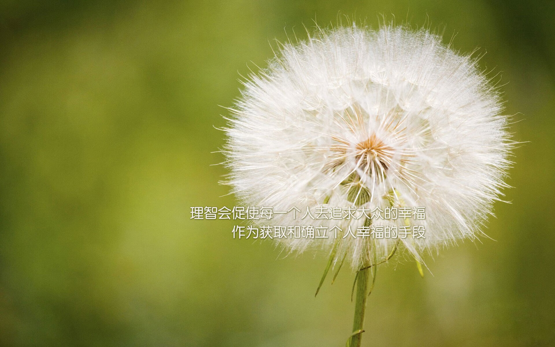 独行侠绝杀76人，贝恩在东决关键战接管比赛，一场关于孤勇与主宰的史诗